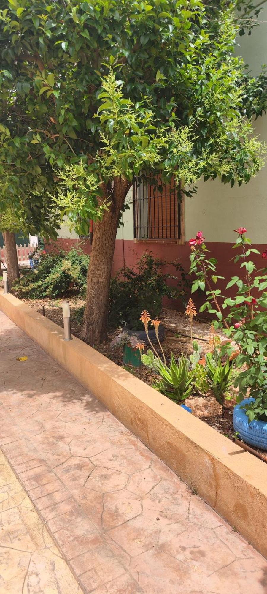 Casa Rural El Tejar San Clemente  Exteriör bild