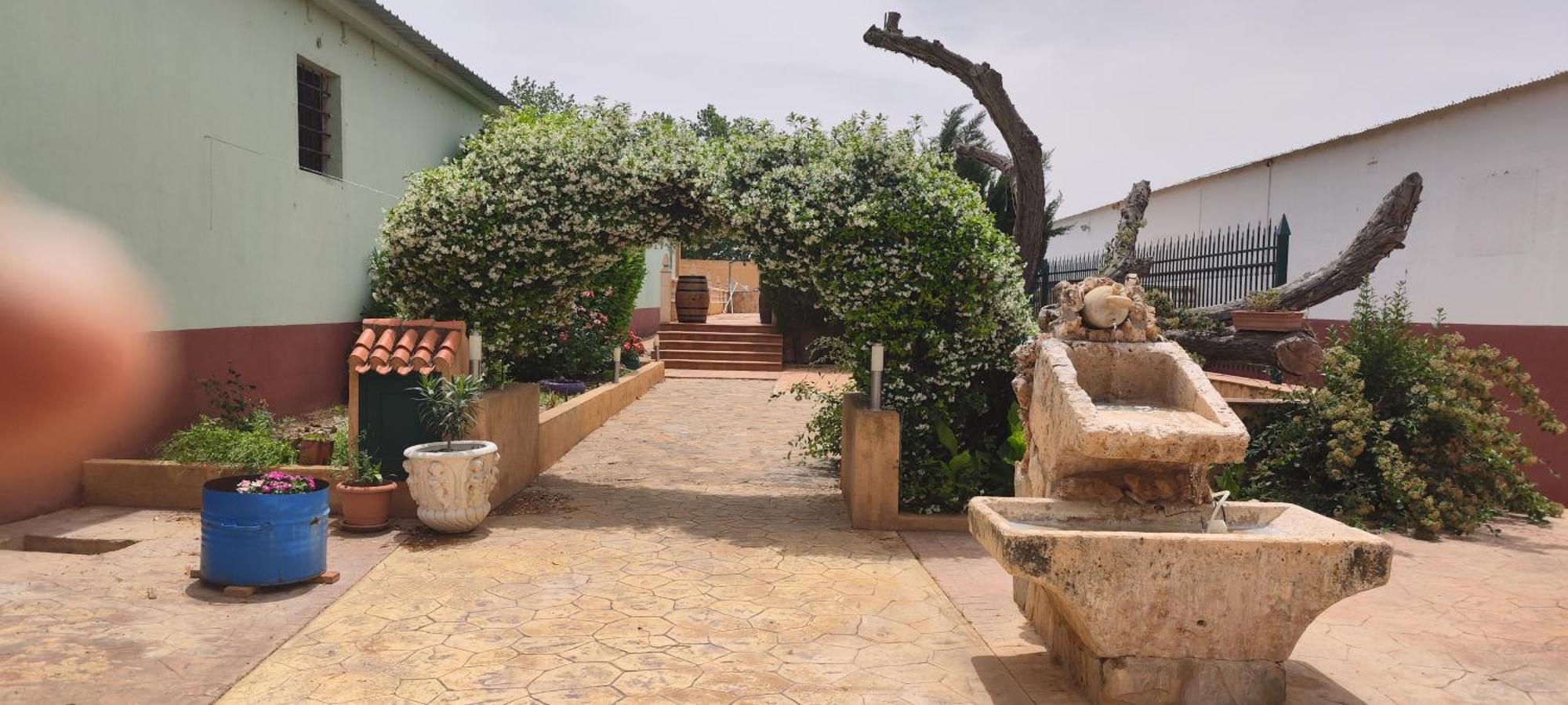 Casa Rural El Tejar San Clemente  Exteriör bild