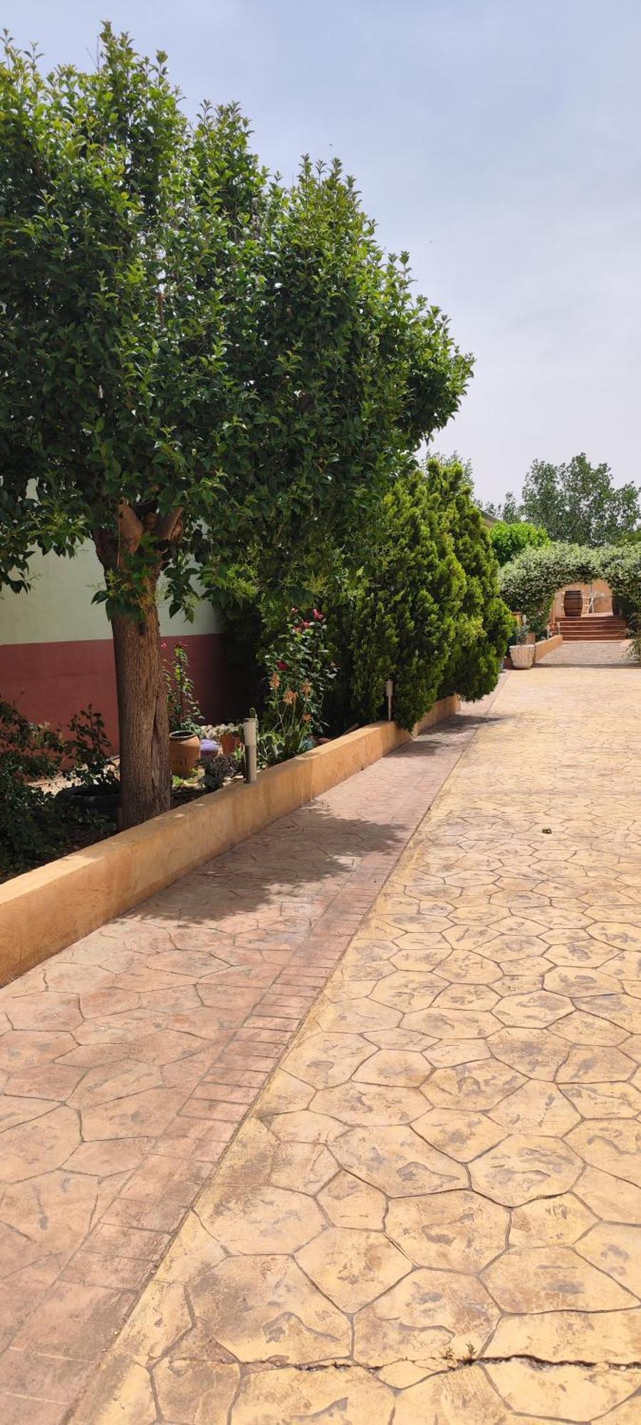 Casa Rural El Tejar San Clemente  Exteriör bild