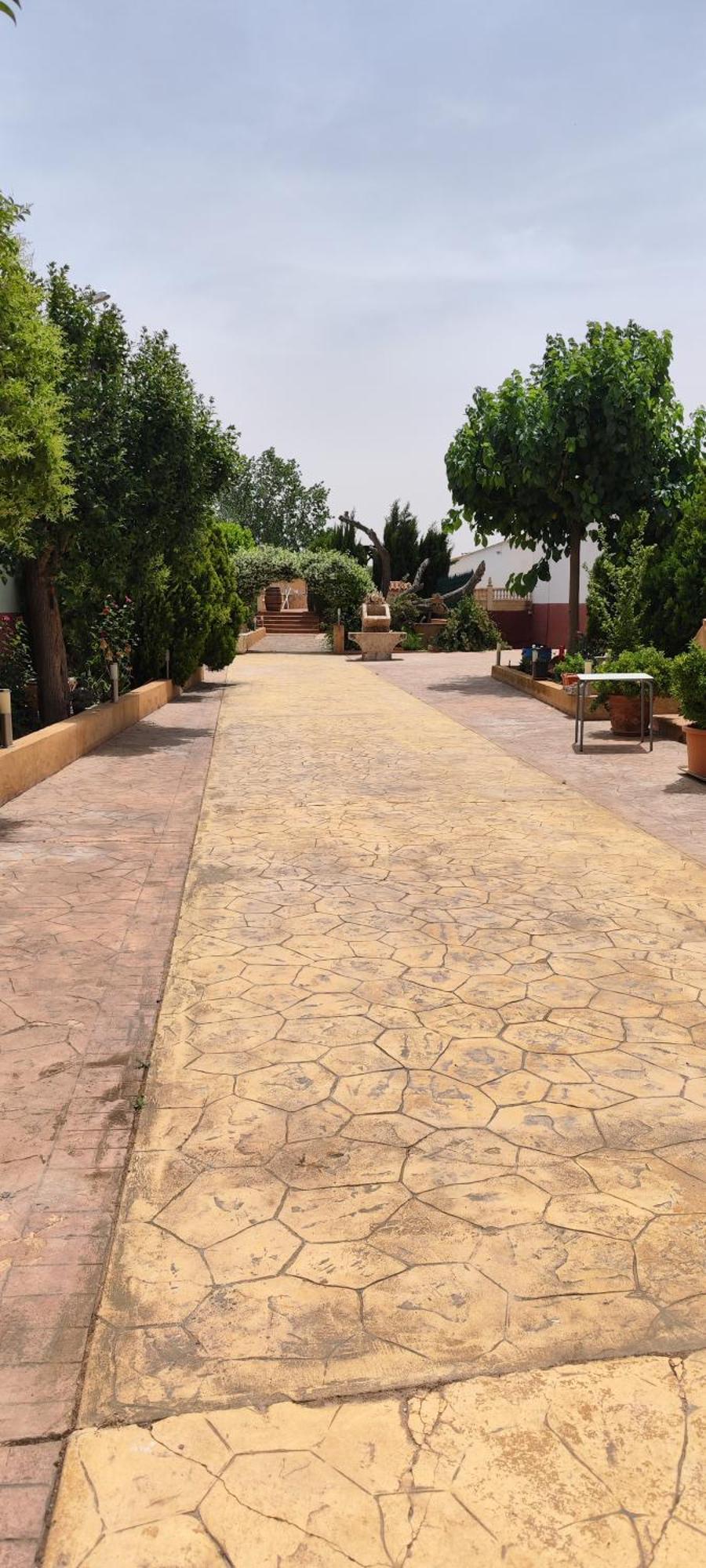 Casa Rural El Tejar San Clemente  Exteriör bild